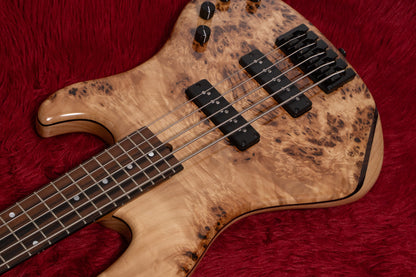 【new】AV BASSES / AVJ5m Burl Poplar 4.025kg #AVJ5m-2025-01【GIB Yokohama】