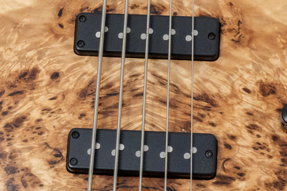 【new】AV BASSES / AVJ5m Burl Poplar 4.025kg #AVJ5m-2025-01【GIB Hyogo】