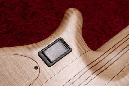【used】Mayones / Custom Shop Patriot MR5 Fretless 3.740kg #PAN1602144【GIB Yokohama】