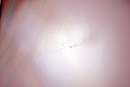 【used】F-bass / BN-4 Red 2024 3.675kg #480524【Consignments】【GIB Yokohama】