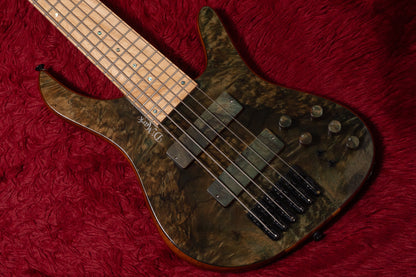【new】D'Mark Guitars / ALPHA 6 Special Reserve Series Amazon Green 4.340kg #25B0006【GIB Yokohama】