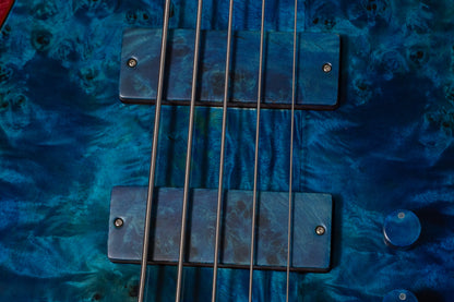 【new】D'Mark Guitars / ALPHA 5 Special Reserve Series Blue Pioppo 3.985kg #25C0005【GIB Yokohama】