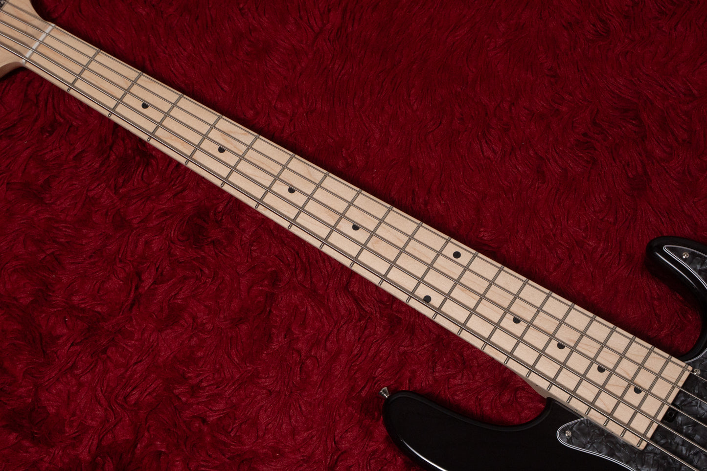 【new】Kikuchi Guitars / Hermes MV5 TBK 3.895kg #492【GIB Yokohama】