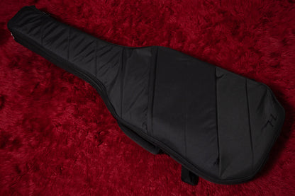【new】HEX Guitars / ZB400 G/AP