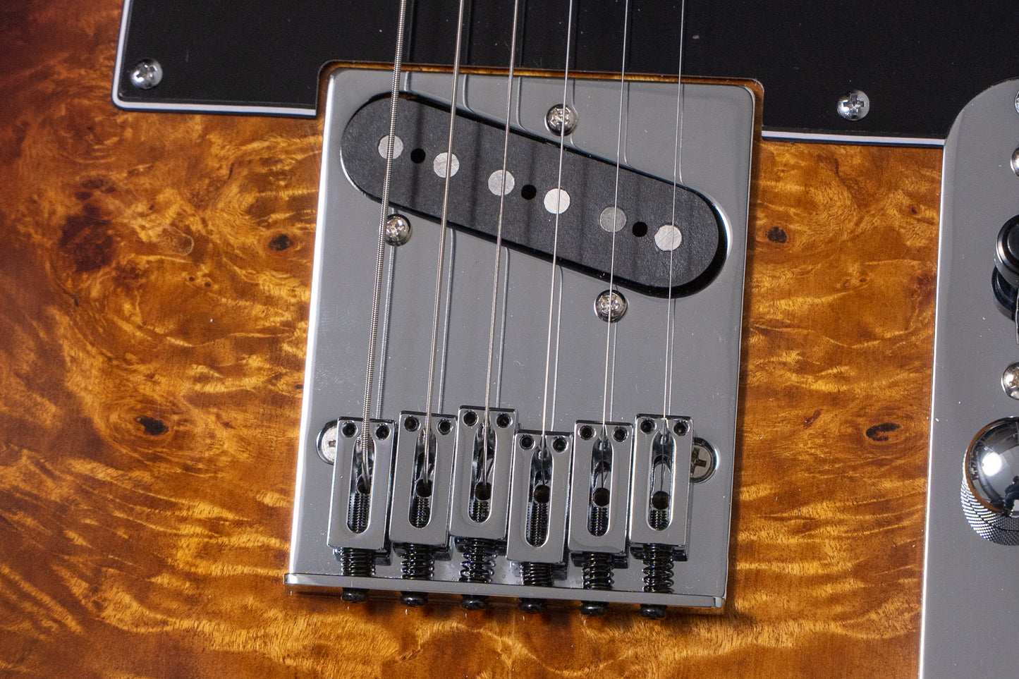 【new】HEX Guitars / T260 SG/VB