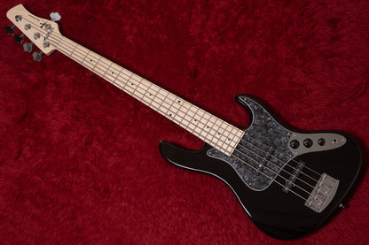 【new】Kikuchi Guitars / Hermes MV5 PASSIVE TBK 3.780kg #442【GIB Yokohama】