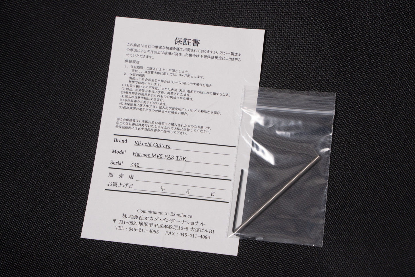 【new】Kikuchi Guitars / Hermes MV5 PASSIVE TBK 3.780kg #442【GIB Yokohama】