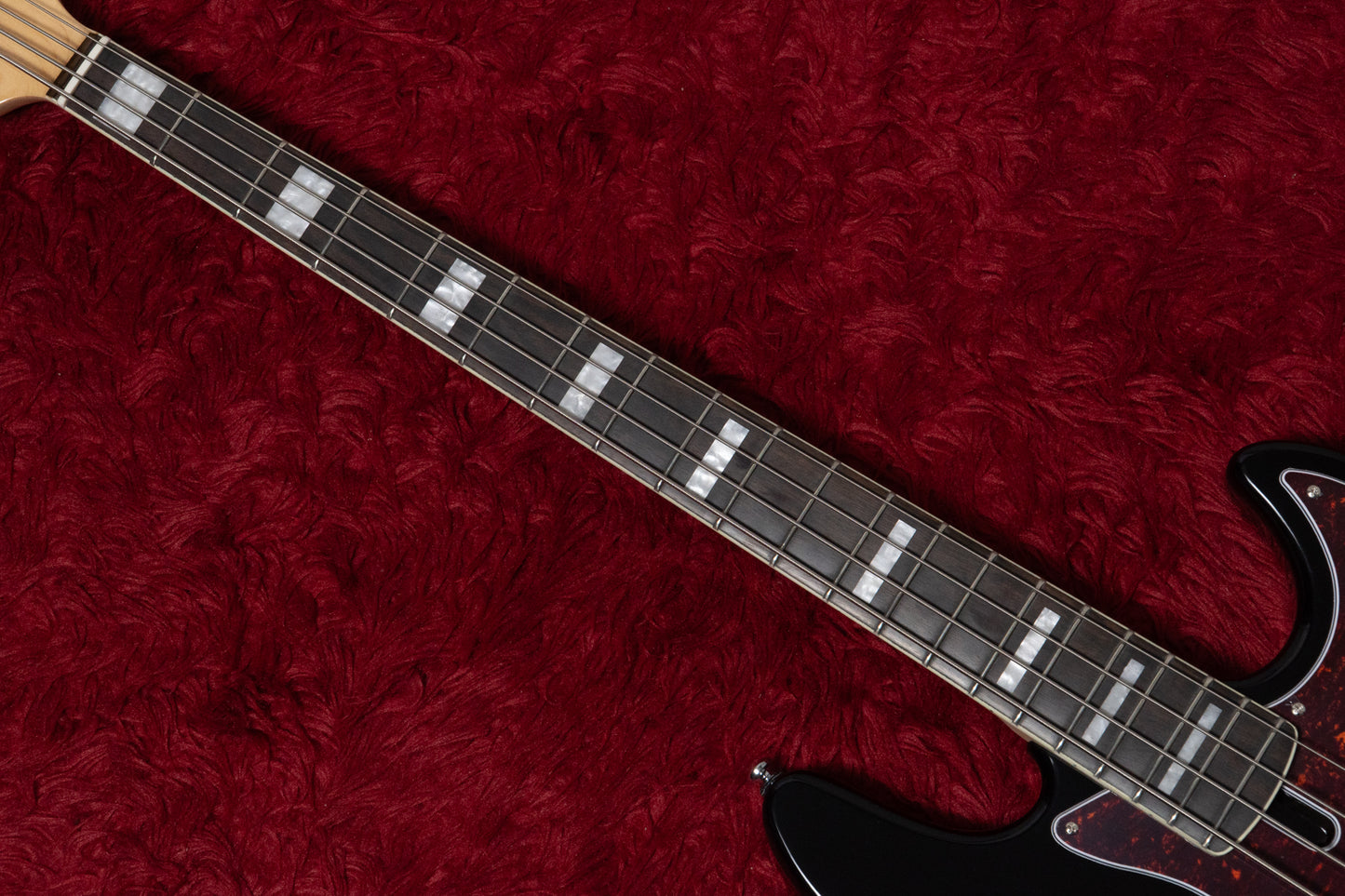 【new】Sire / V7 Alder-4 BK 4.360kg #2N25343716【GIB Yokohama】