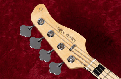 【new】Sire / V7 Vin Ash-4 NT 4.543kg #2N25550495【GIB Yokohama】