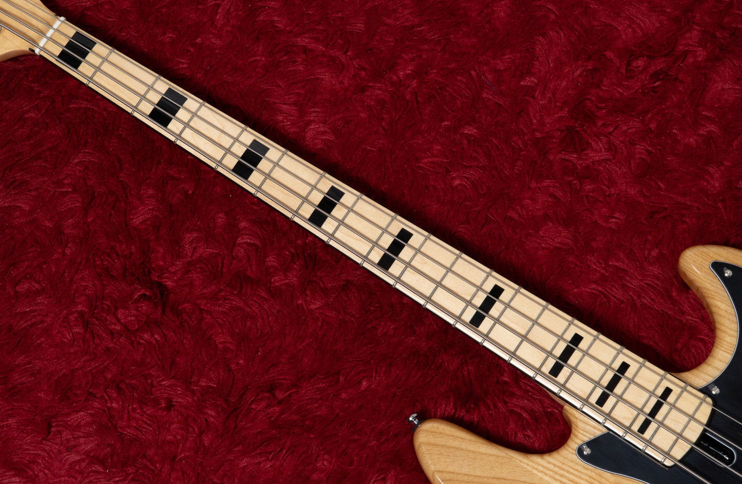 【new】Sire / V7 Vin Ash-4 NT 4.543kg #2N25550495【GIB Yokohama】