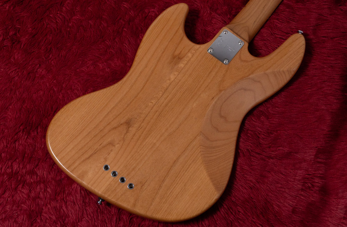 【new】Sire / V5 Alder-4 NT 3.965kg #2N25212872【GIB Yokohama】