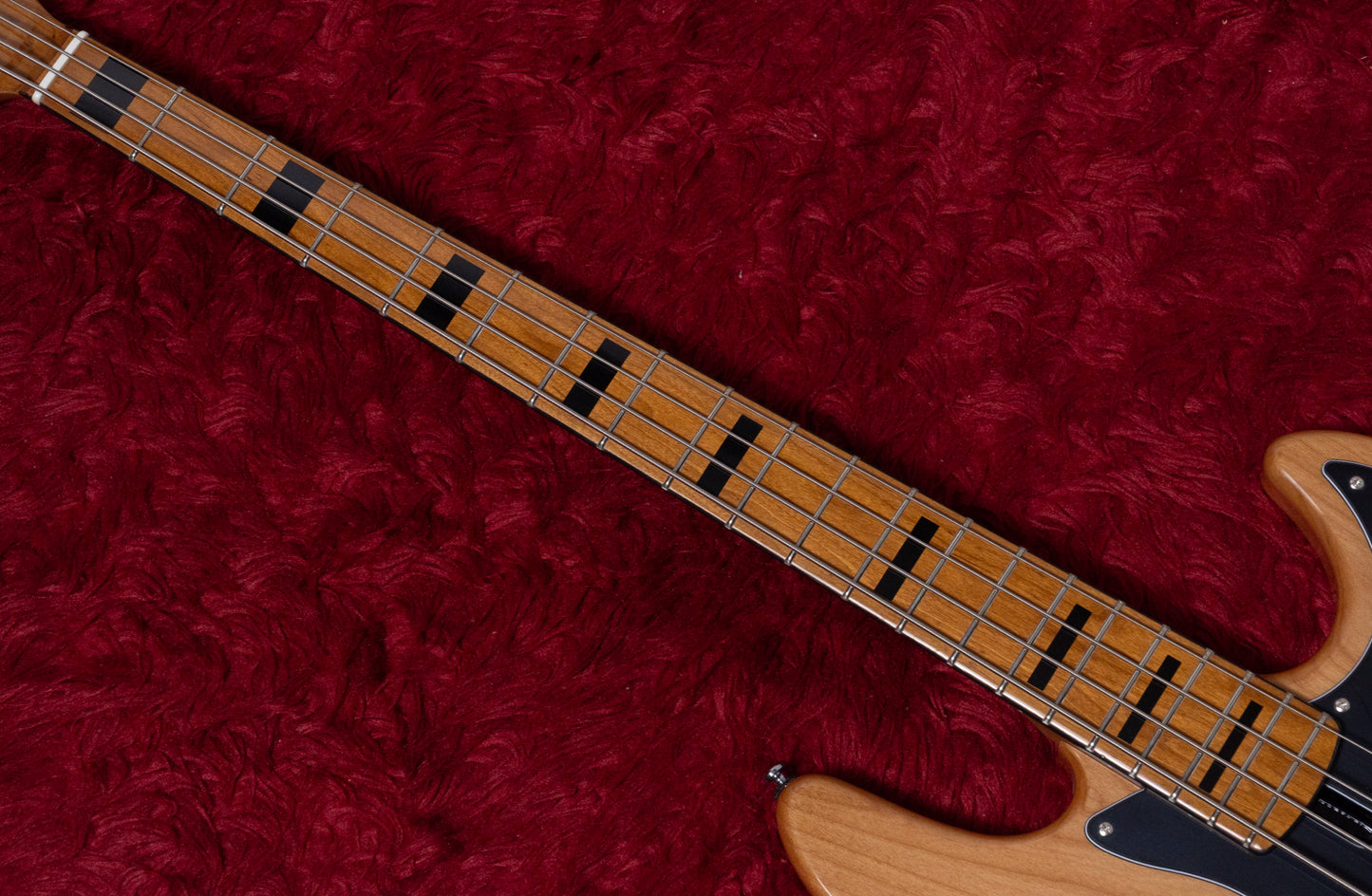 【new】Sire / V5 Alder-4 NT 3.965kg #2N25212872【GIB Yokohama】