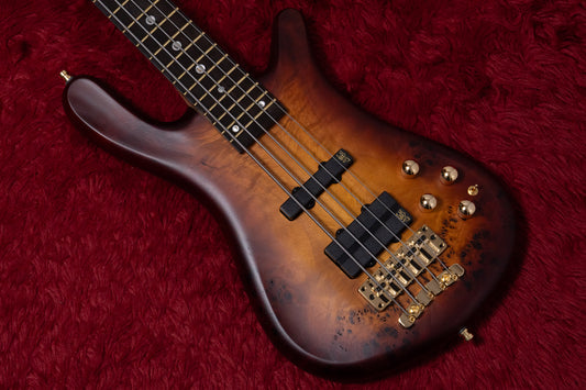 【new】Warwick / Team Build ProSeries Streamer LX5 Limited 2025 3.670kg #GPS M 3837-25【GIB Yokohama】