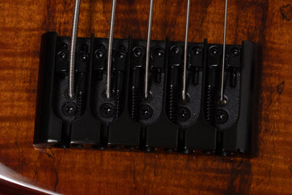 【new】Cort / GB-Fusion 5 Antique Brown Burst 4.380kg #IE250500698【GIB Yokohama】【price included SHIPPING & IMPORT TAX & VAT】