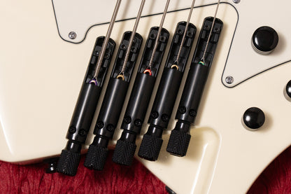 【new】HEX Guitars / NB505 Ivory WH/PG