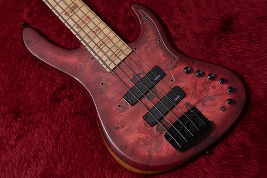 【new】Capurso Guitars / Spiral Deluxe 5st Burl Top / Ruby Red Burst 3.815kg【GIB Yokohama】