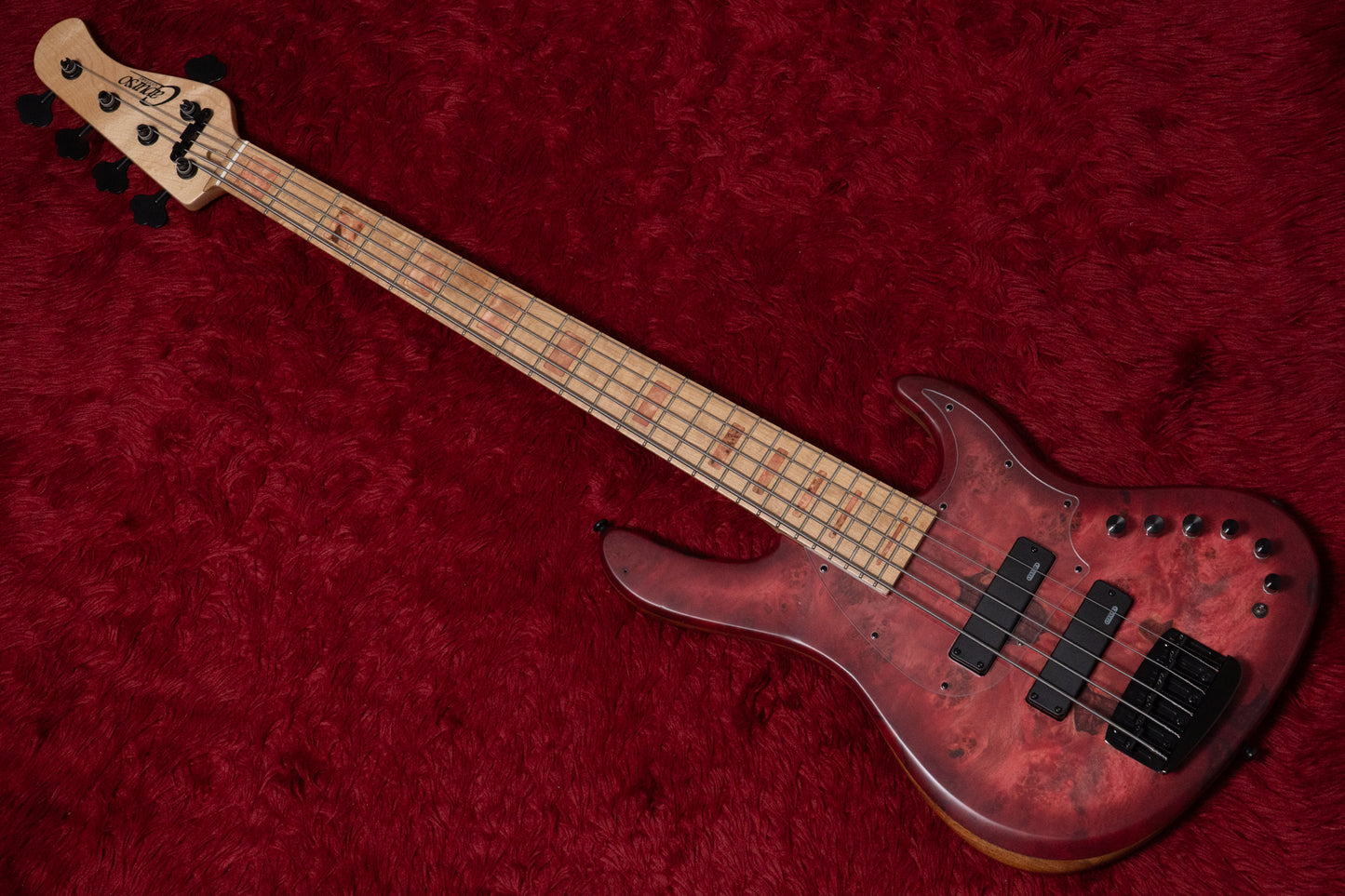 【new】Capurso Guitars / Spiral Deluxe 5st Burl Top / Ruby Red Burst 3.815kg【GIB Yokohama】