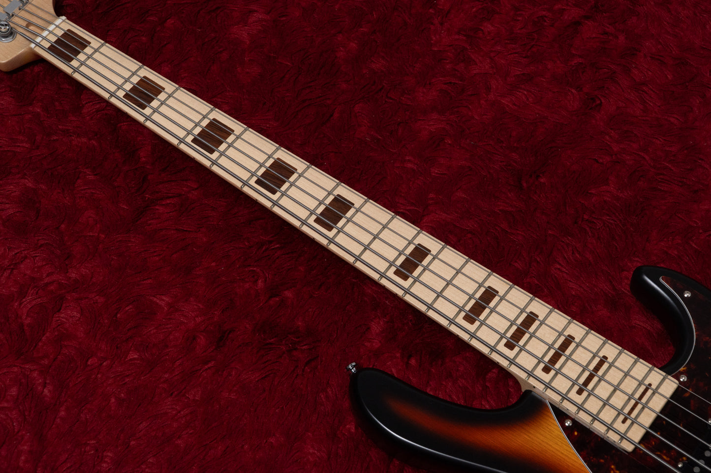 【new】Capurso Guitars / Spiral Standard 5st / Sunburst “70” 4.010kg【GIB Yokohama】