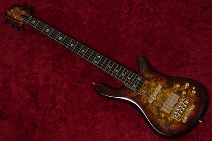 【new】Warwick / Custom Shop Streamer Stage II 5 Limited 2025 Master Reserve Poplar Burl top 4.420kg #M164264-25【GIB Yokohama】