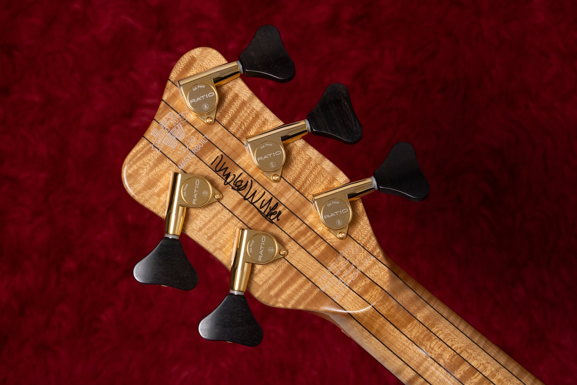 new】Warwick / Custom Shop Streamer Stage II 5 Limited 2025 Master