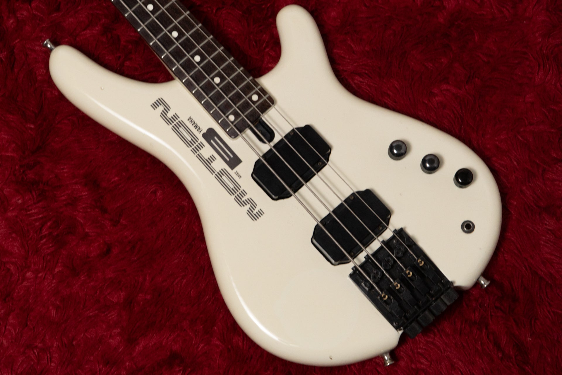 Bass Shop Geek IN Box