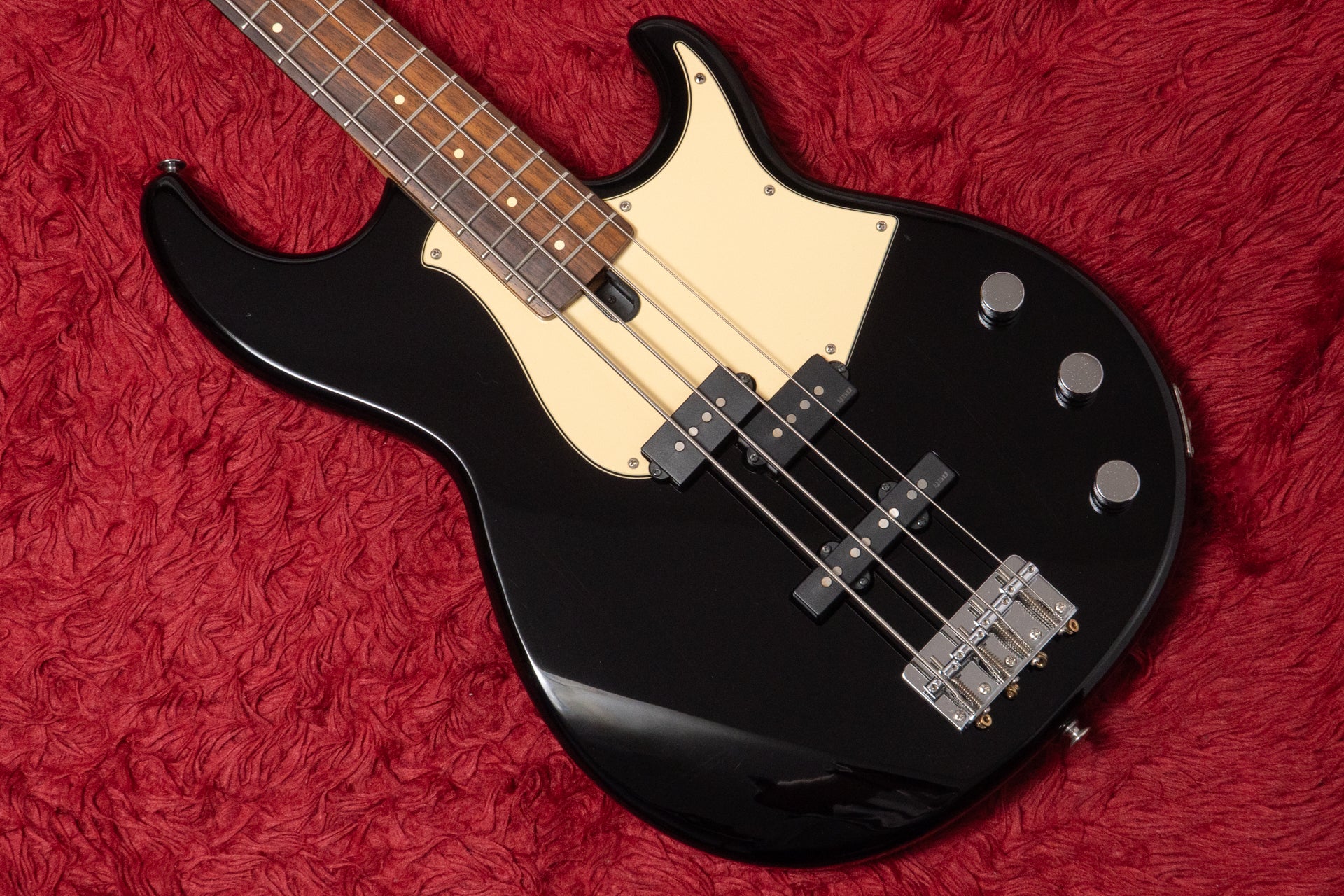 Bass Shop Geek IN Box