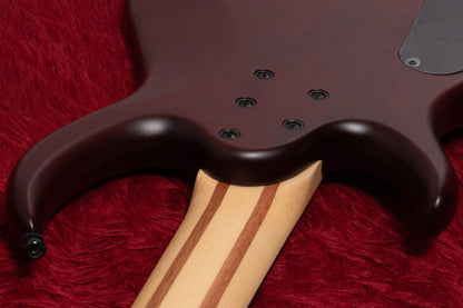 【new】Sire / M6-5 MA.S 3.695kg #2N25H20289【GIB Yokohama】