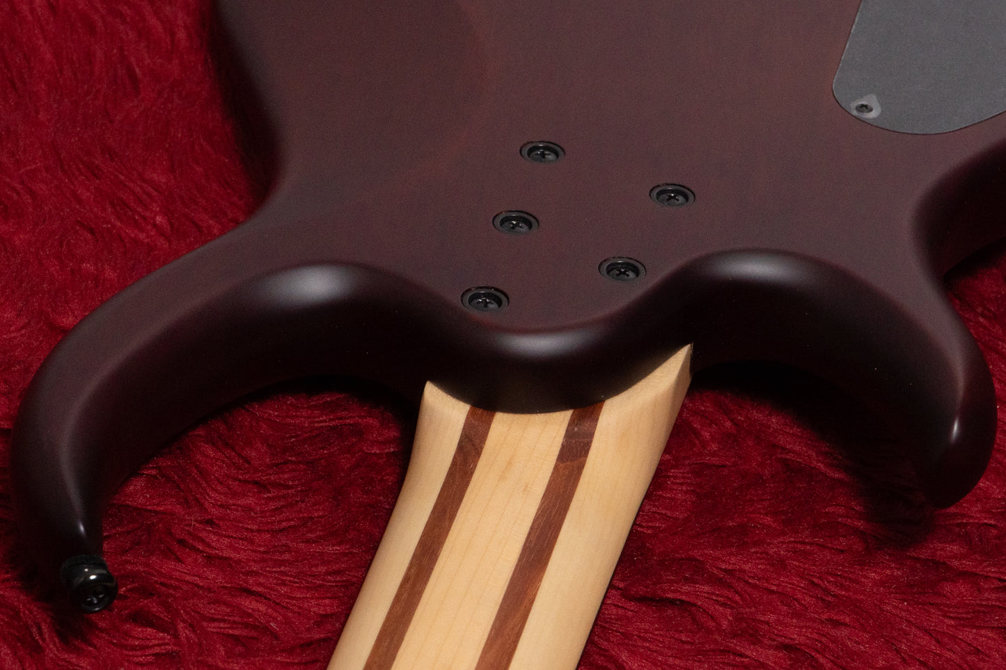 【new】Sire / M6-5 TS.S 3.760kg #2N25H20646【GIB Yokohama】