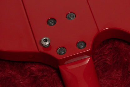 【used】Burny / TB-70 Fiesta Red 4.160kg【GIB Yokohama】