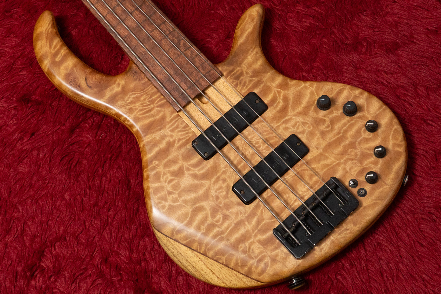 【used】Elrick Bass Guitars / Gold Series e-volution 5st FL mod. 3.340kg #EB02101【GIB Yokohama】