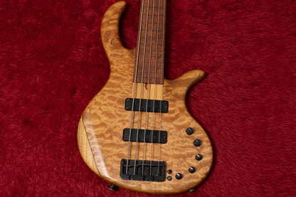 【used】Elrick Bass Guitars / Gold Series e-volution 5st FL mod. 3.340kg #EB02101【GIB Yokohama】