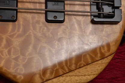 【used】Elrick Bass Guitars / Gold Series e-volution 5st FL mod. 3.340kg #EB02101【GIB Yokohama】