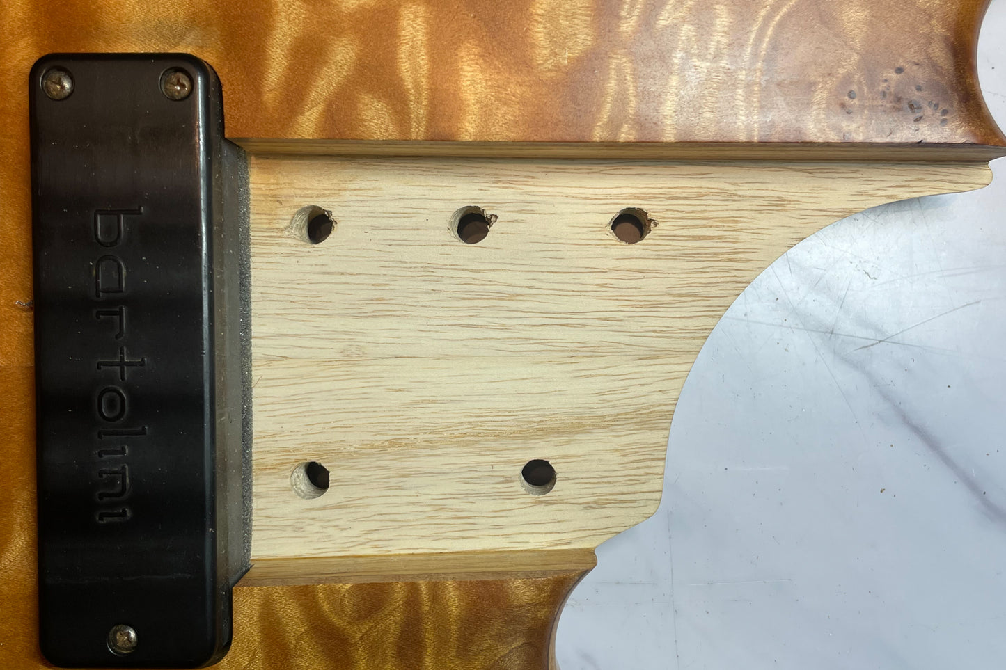 【used】Elrick Bass Guitars / Gold Series e-volution 5st FL mod. 3.340kg #EB02101【GIB Yokohama】