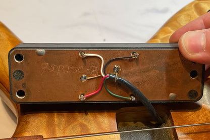 【used】Elrick Bass Guitars / Gold Series e-volution 5st FL mod. 3.340kg #EB02101【GIB Yokohama】