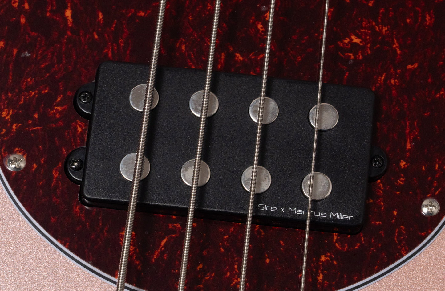 【new】Sire / Z3-4 ROSEGOLD 3.400kg #2N25903080【GIB Yokohama】