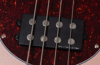 【new】Sire / Z3-4 ROSEGOLD 3.400kg #2N25903080【GIB Yokohama】