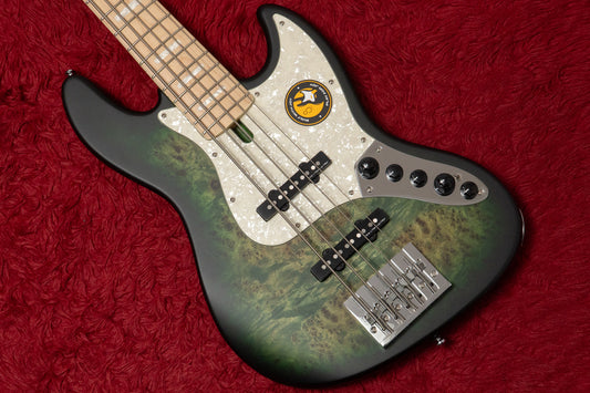 【outlet】Sire / V7 ASH-5 REI TGR.S 5.000kg #2N25150493【GIB Yokohama】