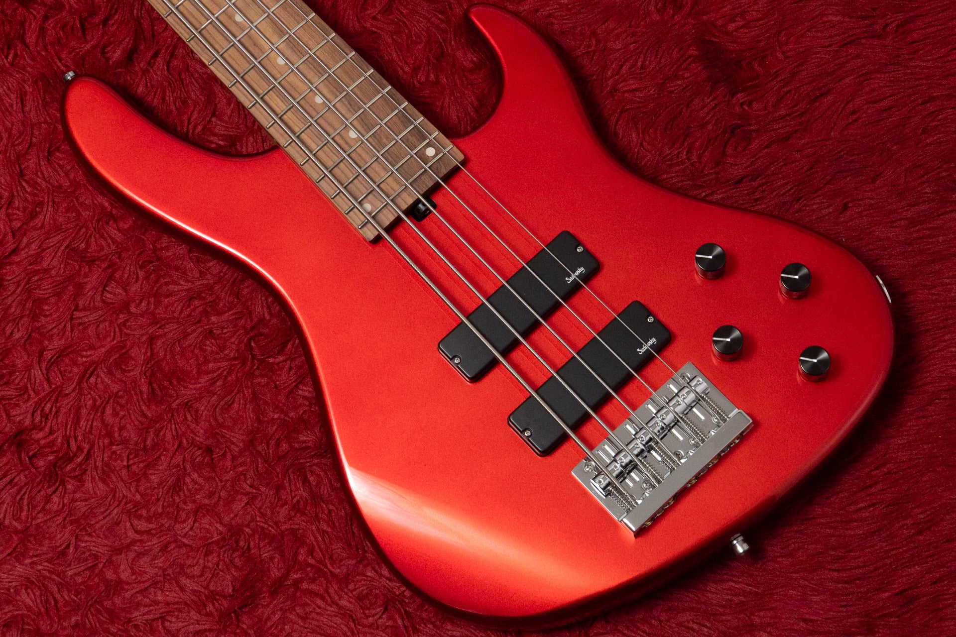 Bass Shop Geek IN Box
