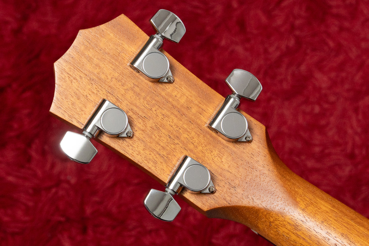 【outlet】Taylor / GS Mini-e Bass 1.695kg #2102208302【GIB Yokohama】