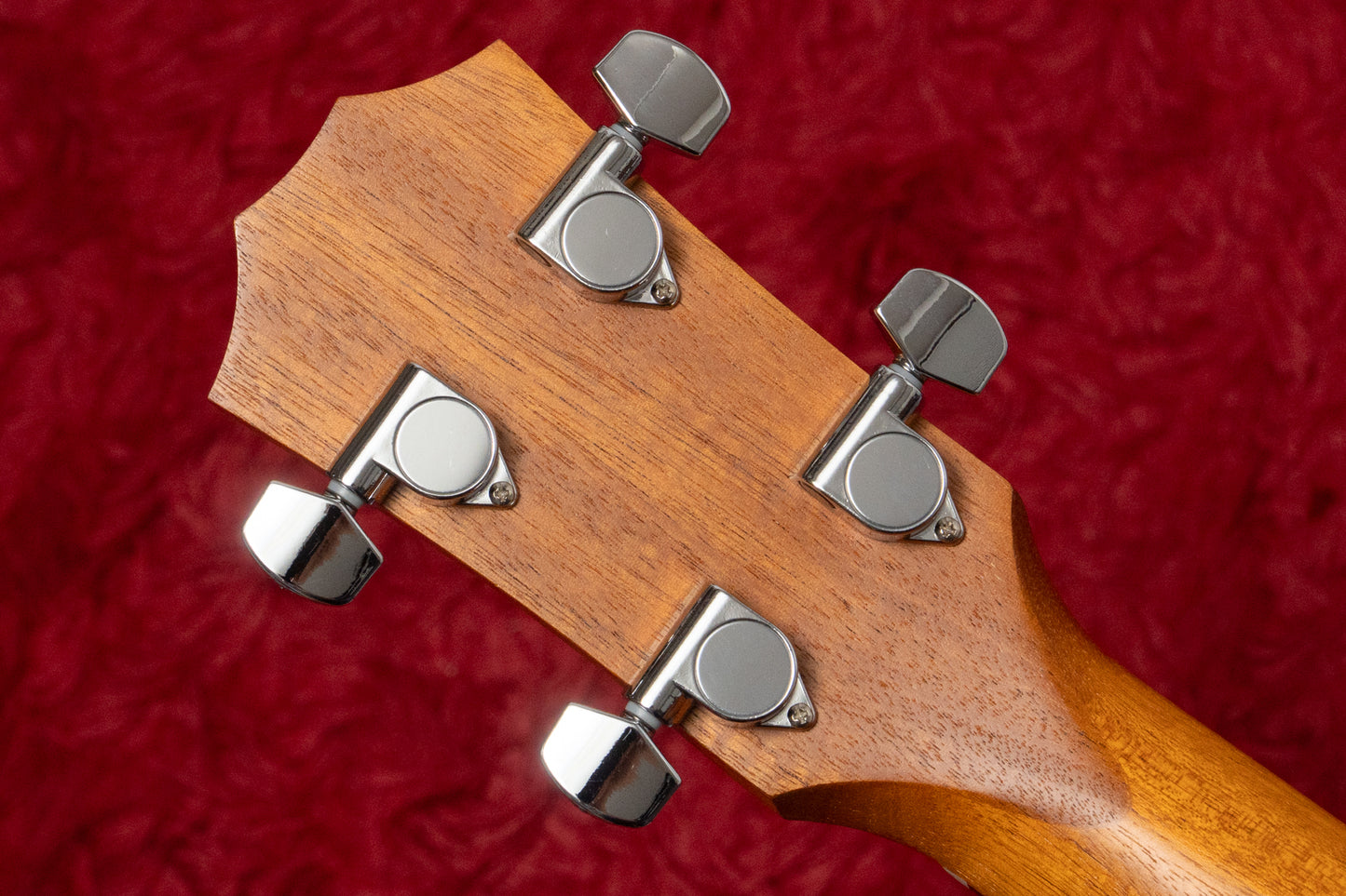 【outlet】Taylor / GS Mini-e Bass 1.730kg #2102208296【GIB Yokohama】