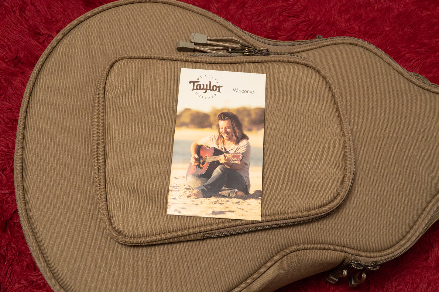 【outlet】Taylor / GS Mini-e Bass 1.730kg #2102208296【GIB Yokohama】