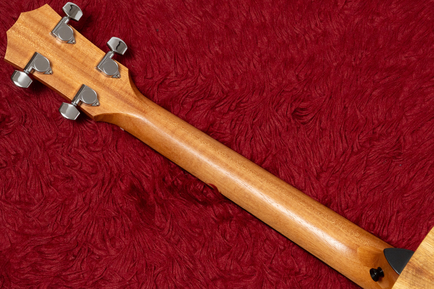 【new】Taylor / GS Mini-e Koa Bass 1.710kg #2212085340【GIB Yokohama】