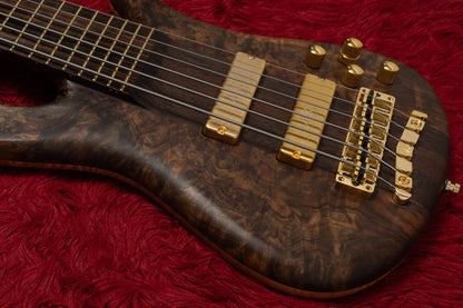 【new】Warwick / Custom Shop Streamer Stage I 6st Walnut Burl / Natural Oil Finish 5.775kg #B164286-26【GIB Yokohama】