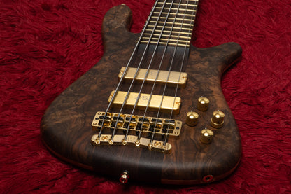 【new】Warwick / Custom Shop Streamer Stage I 6st Walnut Burl / Natural Oil Finish 5.775kg #B164286-26【GIB Yokohama】