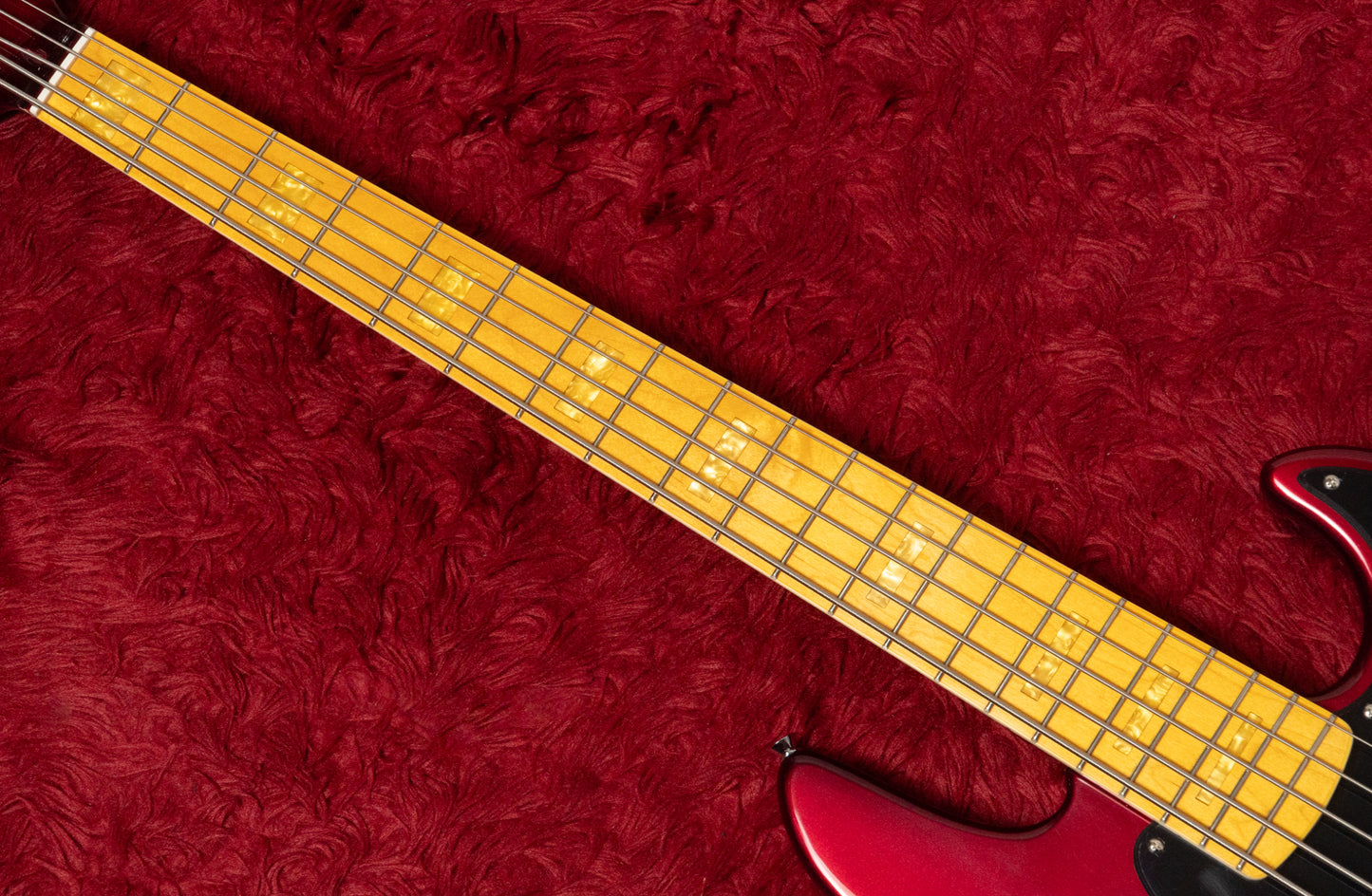 【new】Markbass / MB GV 5 GOG Red Passion MP FC 4.315kg #IFV000009【GIB Yokohama】