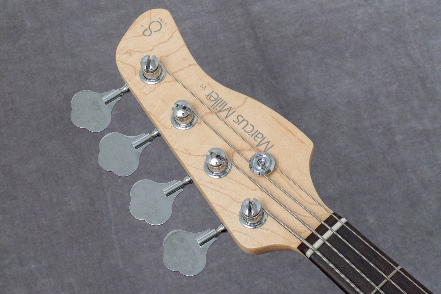 【new】Sire / V1-4 BK 3.8kg #2N26A00418【GIB Hyogo】