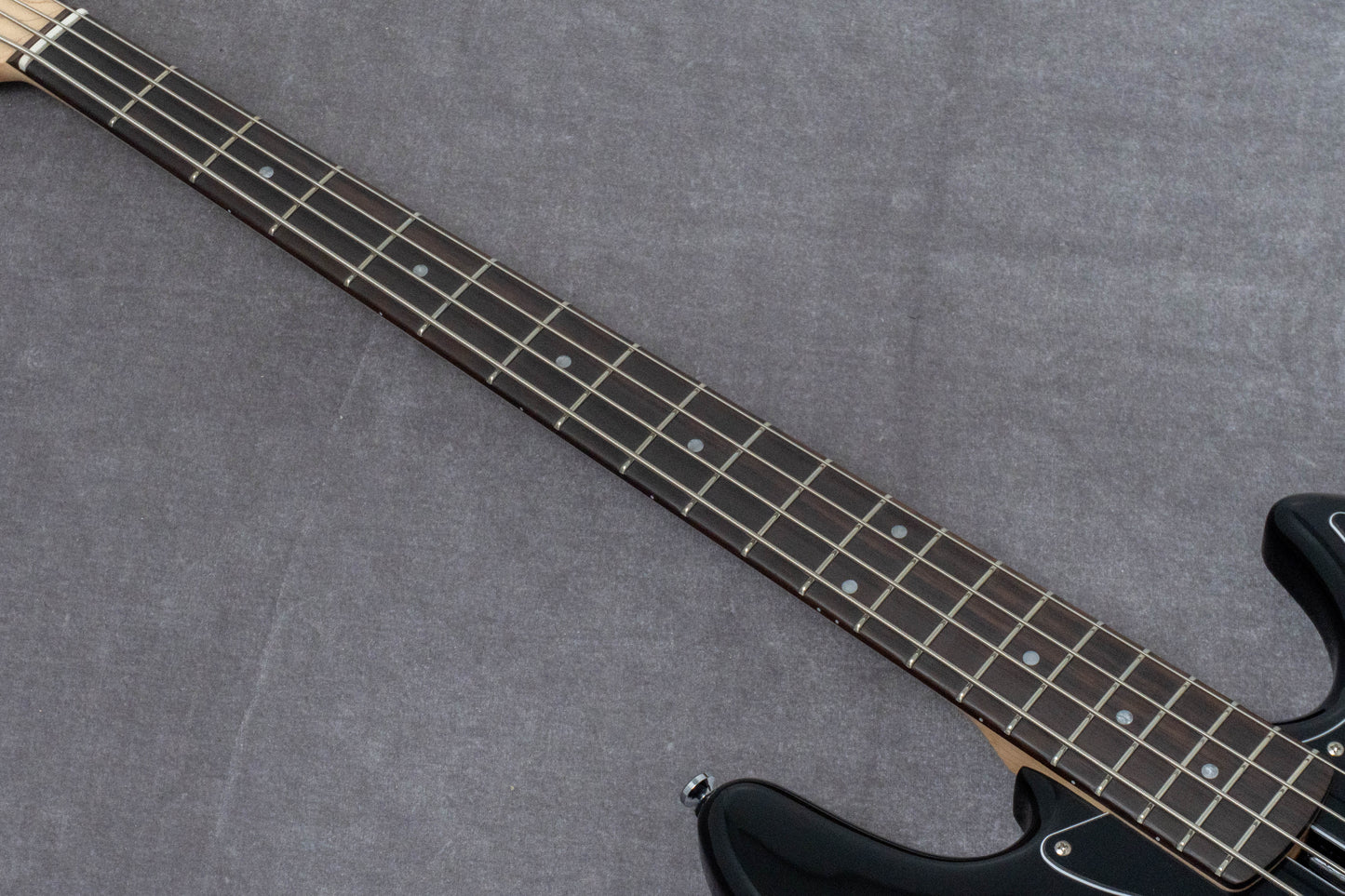 【new】Sire / V1-4 BK 3.8kg #2N26A00418【GIB Hyogo】