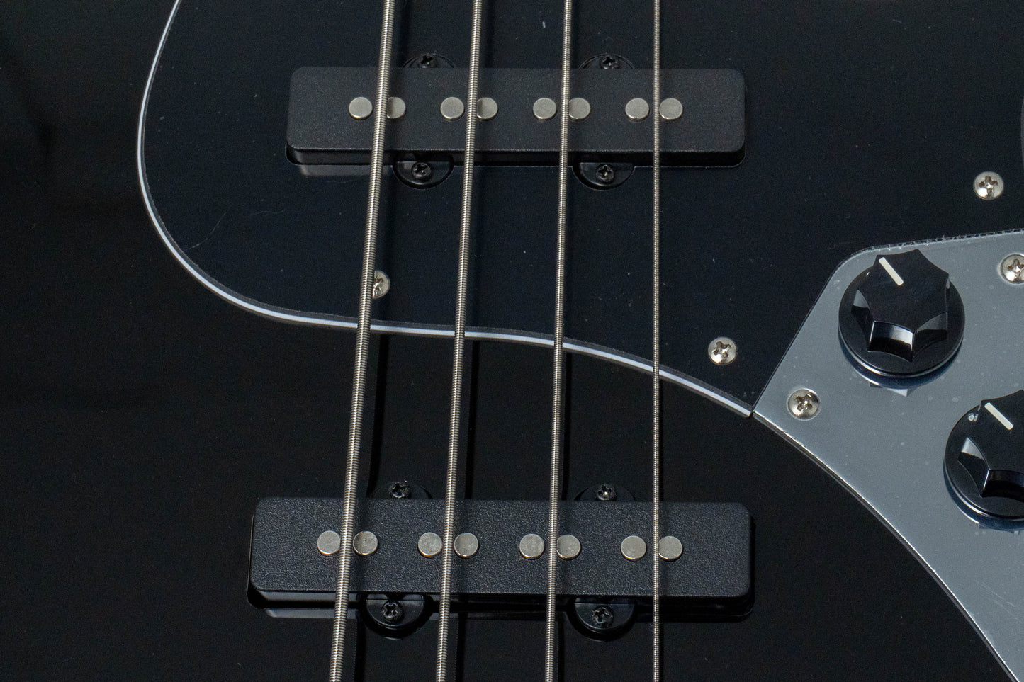 【new】Sire / V1-4 BK 3.8kg #2N26A00418【GIB Hyogo】