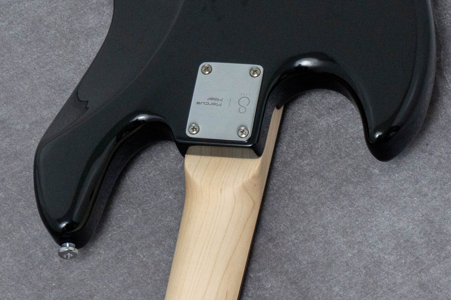 【new】Sire / V1-4 BK 3.7kg #2N26A00400【GIB Hyogo】