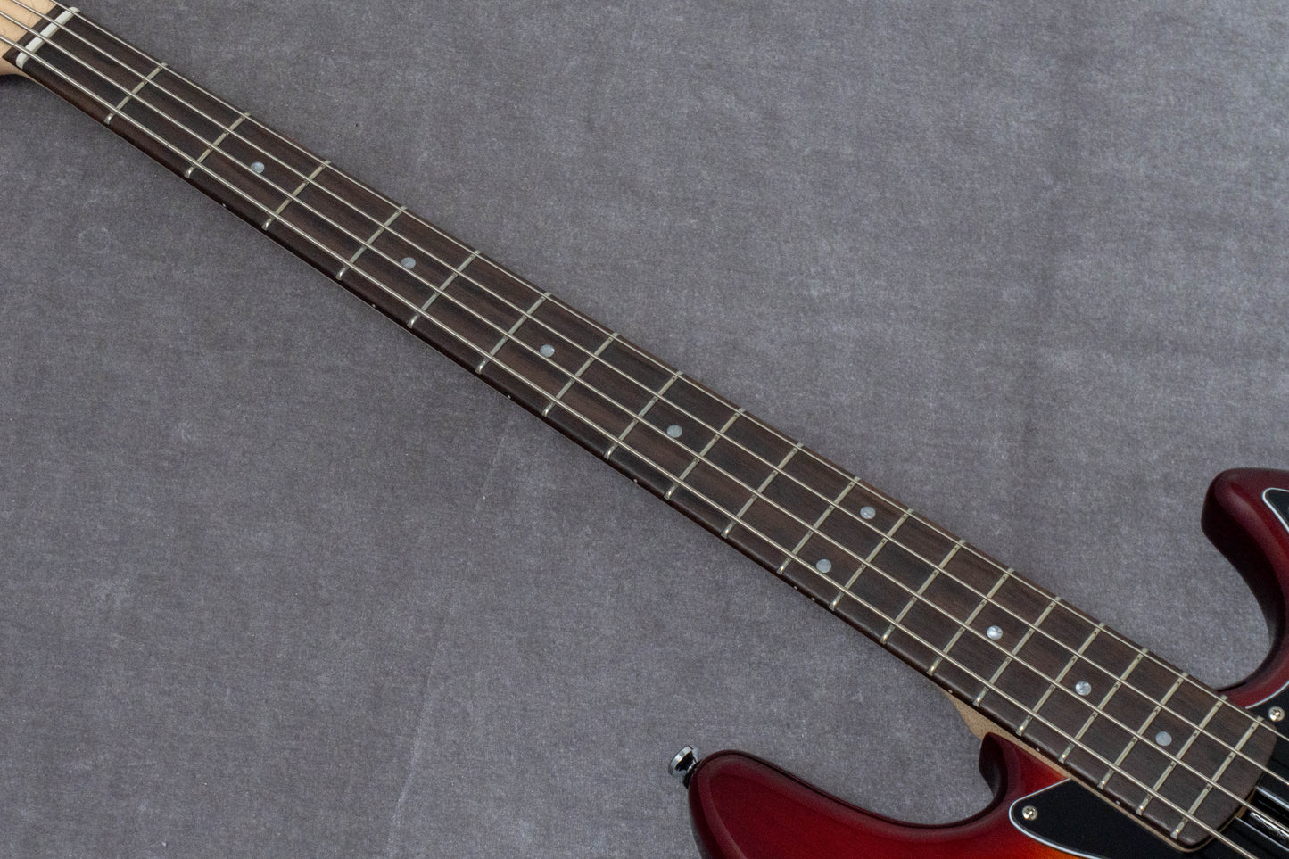 【new】Sire / V1-4 TS 3.7kg #2N26A00284【GIB Hyogo】